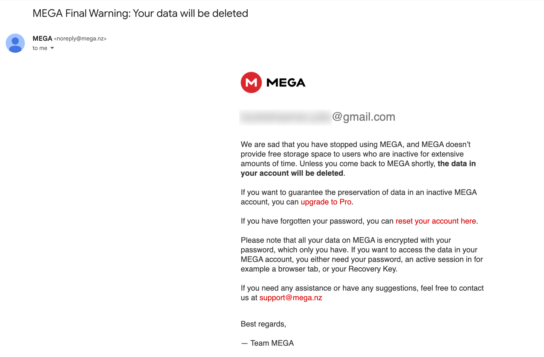 Account Removal Emails: Screenshot of Mega's account notification email about pending account deletion