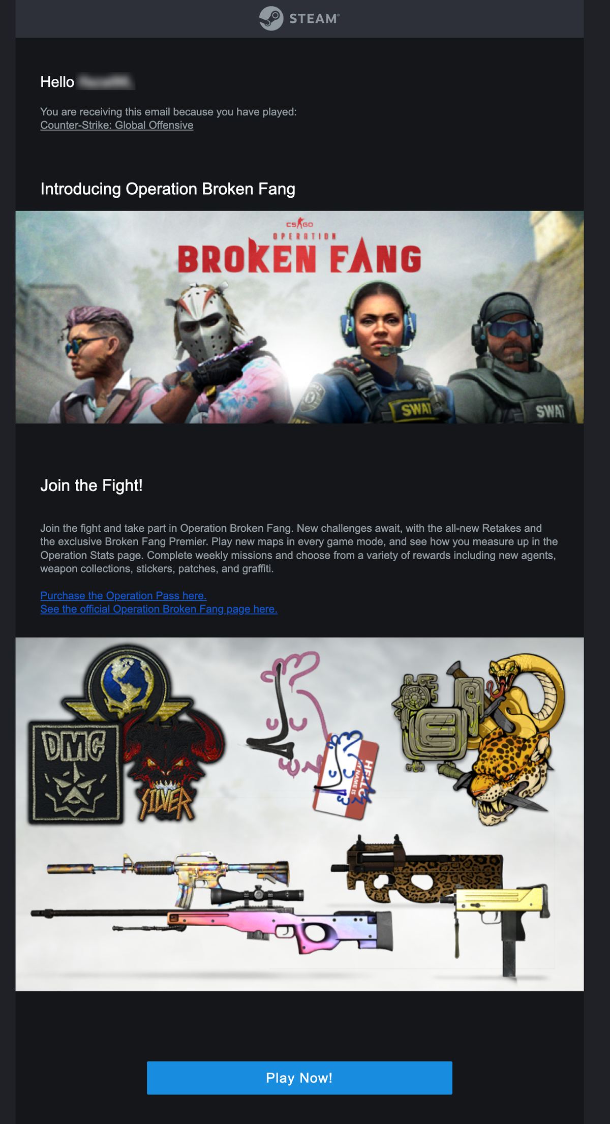 Email Marketing for Game Brands: Screenshot of Steam's re-engagement email