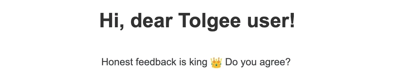 SaaS Email Greetings and Salutations: Intro portion of Tolgee’s feedback email
