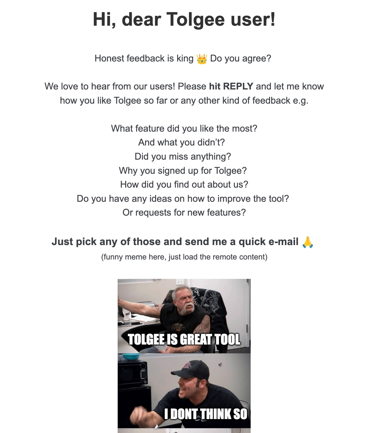 Feedback Email Examples: Screenshot of Tolgee's email asking for customer feedback